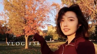 VLOG 野餐日 FALL PICNIC DAY [upl. by Asseral]