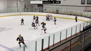 LHA 14U AA Vs Power City Bruins TB 20241102 [upl. by Chak927]