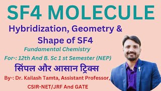 Hybridization Geometry amp Shape of SF4 Molecule  Electronic Configuration of Sulphur  Chemistry [upl. by Rowley]