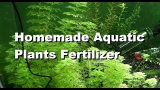 DIY Fertilizer for Aquatic Plants [upl. by Wendy134]