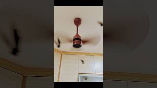 atomberg Renesa 600mm BLDC Motor Ceiling Fan shorts shortsyoutube shortsfeed ceilingfan [upl. by Lifton]