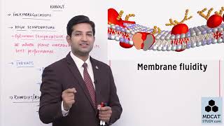 CLASS 12BIOLOGYCH 01LEC13 THERMOREGULATION IN PLANTSmp4 [upl. by Brenda]