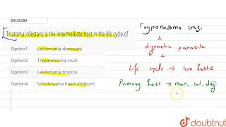 Triatoma infestans is the intermediate host in the life cycle of [upl. by Geirk329]