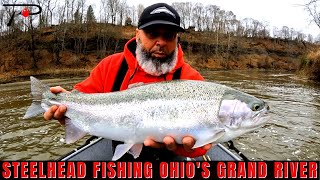 Steelhead Fishing Ohios Grand River [upl. by Gaelan]