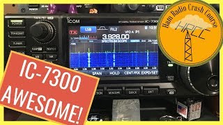 ICOM 7300 Setup Tweaks and How To Use  HRCC [upl. by Irena]