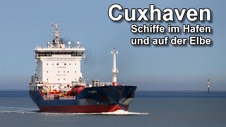 Cuxhaven  Schiffe im Hafen  Sommer 2023  Elbe [upl. by Elleniad]