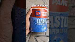 Test warna nippon paint elastex waterproof [upl. by Ylek]