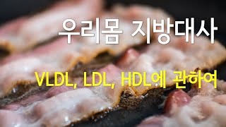 우리 몸의 지질대사 VLDL LDL HDL에 관하여 [upl. by Alleiram]