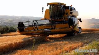 TREBBIATURA FRUMENTO 2013 CON NEW HOLLAND TC5080 HILLSIDE FULL HD [upl. by Wendin]