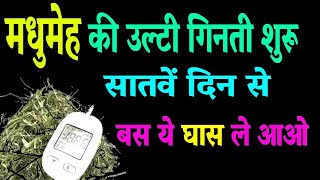 न कोई काढ़ा न दवाई सिर्फ ये घास लीजिये ll मधुमेह छूमंतर diabetes reversal [upl. by Ozan59]