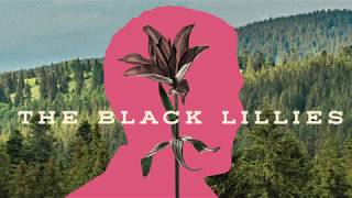 Ten Years by The Black Lillies [upl. by Albertine]