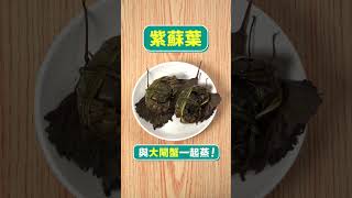 【大閘蟹煮法】食蟹季節又到！3大貼士食完不怕寒 [upl. by Aiyram385]