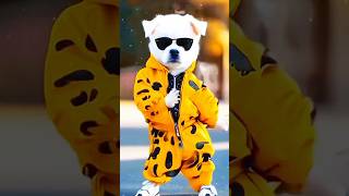 😻Super cat dance 🥰 cute cat catlover funny short shorts shortvideo yt ytshort catytshorts [upl. by Anauqes]