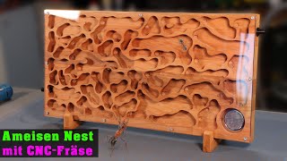 Ameisen Holz Nest mit der CNC Fräsmaschine  Holzbearbeitung in der Garage [upl. by Ahsienar87]