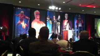 Sting TNA 2012 Hall Of Fame Induction Speech [upl. by Birchard561]