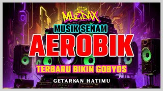 MUSIK SENAM AEROBIK TERBARU 2024 [upl. by Kile734]