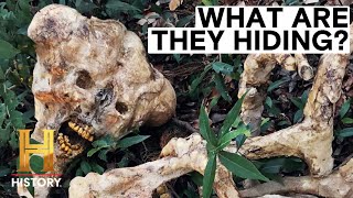 The Proof Is Out There Top 4 CREEPIEST Creature Hoaxes [upl. by Swerdna498]