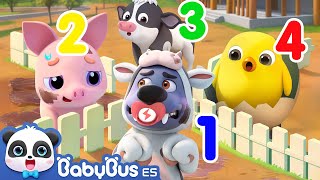 Los Animales de la Granja  Canciones de la Granja  Videos de Niños  BabyBus en Español [upl. by Eelram327]