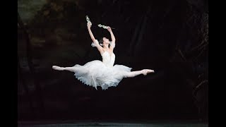 Giselle trailer The Royal Ballet [upl. by Louis]