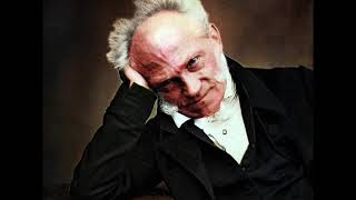 Arthur Schopenhauer on Death [upl. by Llyrrad]