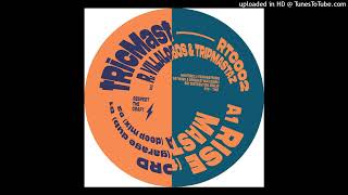 A1 Ricardo Villalobos Tripmastaz tRicMast  Rise feat SNVRS RTC002 [upl. by Yssak]