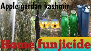 Fungicide had been done today‎Sidraajan subscribe me plz 🙏 home garden fungicide [upl. by Nelleh]