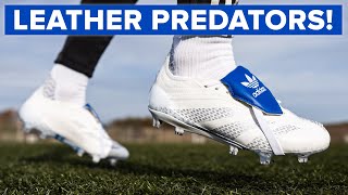 These LEATHER Predators are glorious  BUT should you buy them [upl. by Alleram]