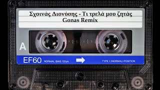 Ti Trela Mou Zitas Gonas Remix [upl. by Alegnatal]