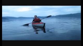 Close Encounters with Beluga Whales [upl. by Ellimac]