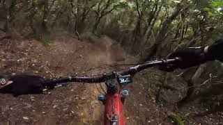 MTB ENDURO MASSA MARITTIMA WET Benedetto Trail [upl. by Autum]