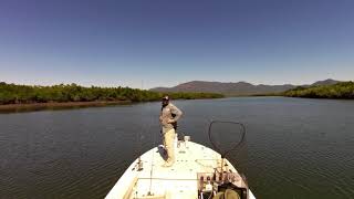 Meet Dennis Boss Croc in Benjamin Flats in the Hinchinbrook Channel [upl. by Ariadne]