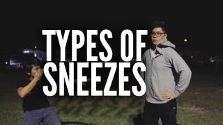 Types Of Sneezes [upl. by Kcirederf]