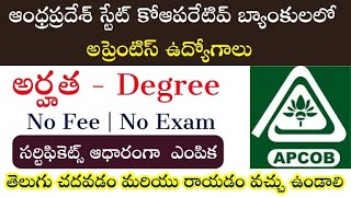 డిగ్రీ అర్హతతో పరీక్ష లేకుండా బ్యాంకులలో ఉద్యోగాలు  APCOB Apprentice Recruitment 2024 apply Online [upl. by Doreen]