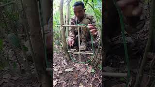 Neck trap alanhdva bushcraft wildskills trap [upl. by Atnaloj]