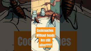 Cockroaches without Head are still aliveshorts cockroach facts generalknowledge [upl. by Laurette]