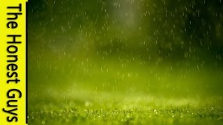 1 Hour of Gentle Rain  Meditation without music [upl. by Lehet]