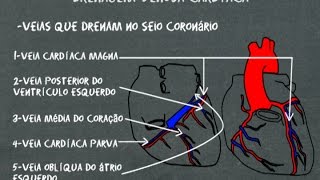 Anatomia cardíaca  veias  Drenagem venosa cardíaca [upl. by Anitrak]