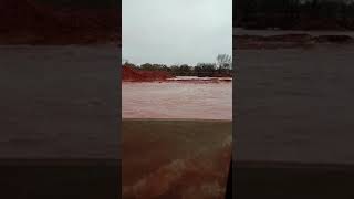 Tanami Road Flood 2020 [upl. by Hugh]