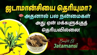 ஜடாமான்சியின் நன்மைகள் மற்றும் பயன்கள்  Health Benefits of Jatamansi  Punarjan Ayurveda Tamil [upl. by Chevalier263]