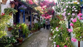 Córdobahoy  Patios de Córdoba 2018 [upl. by Minne966]