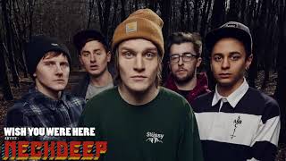 Neck Deep  Wish You Were Here  Lyrics accoustic [upl. by Yelnek449]