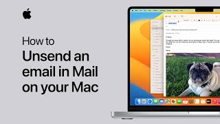 How to unsend an email in Mail on your Mac  Apple Support [upl. by Naihs447]