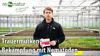 Trauermücken mit Nematoden bekämpfen [upl. by Okikuy]