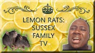 Lemon Rats Sussex Family TV [upl. by Doomham]