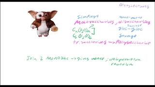 Biochemistry Lecture 19 Carbohydrates Part 1 [upl. by Madaras]