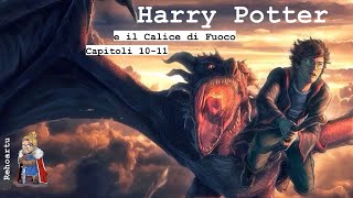 Audiolibro  Harry Potter e il calice di fuoco  Lettura e Commento Cap 1011 [upl. by Durnan854]