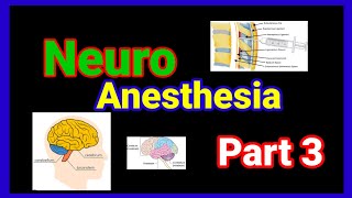 Neuro Anesthesia important mcqs part 3 anaesthesiawithbabar2576 [upl. by Atinaj432]