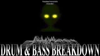 Faceless Immortals Drum amp Bass breakdown [upl. by Bonnibelle]