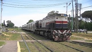 LINEA SARMIENTO FERROBAIRES PROCEDENTE DE BRAGADO [upl. by Leuas]