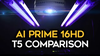 AI Prime 16 HD with T5 Combination [upl. by Lessard]